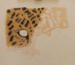 Coloured Pencil - Amur Leopard Stage 2