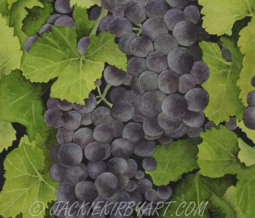 Watercolour grapes