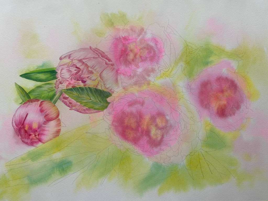 Watercolour Peonies